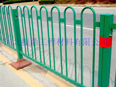 市政道路围栏案例图片4